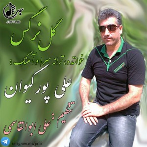 Ali-P