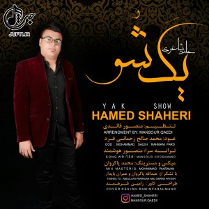 hamed_shaeri
