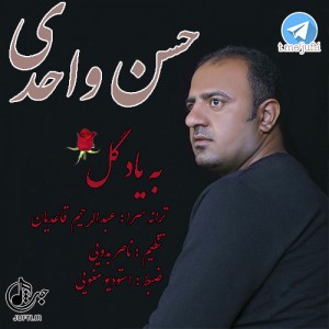 Hasan_Vahedi